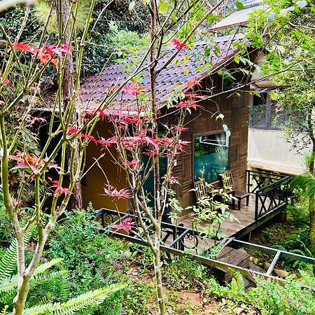 Bazan Home - Hotel & Bungalow Pleiku Εξωτερικό φωτογραφία
